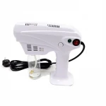 Household Sterilization Fogging Sprayer Hair Moisturizing Gun Disinfection Spray Blue Ray Nano Spray Gun