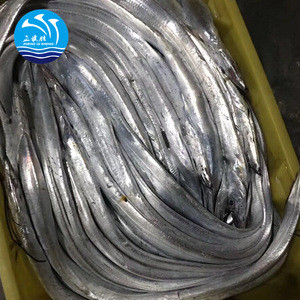 Ice Cold Frozen frozen ribbon fish For Sale