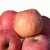 Import Import fresh fuji apple fruit from China