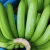 Import INDIAN FRESH GREEN BANANA EXPORTERS from India