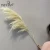 Import ISEVIAN Wedding Arch Dried Pampas Flower Wedding Decor Flower Centerpiece Feather Grass Dried Flowers from China