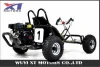 Kids Racing Petrol Go Kart 196CC 6.5HP (GK160B-A)