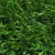 Import Leisure Field Fire Resistant Carpet Turf Grass from China