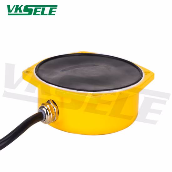 Import Lfb-II Stainless Steel Thin Film Level Meters Pure Resistance 24-380V from China