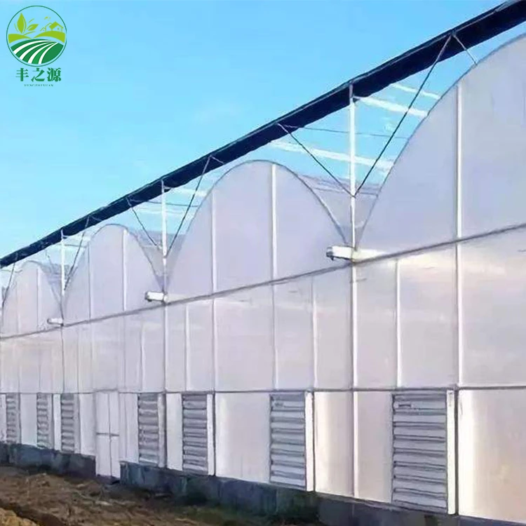 Long Service Time Anti-aging Greenhouse Film Micron Anti-uv Plastic Greenhouse Commercial Film