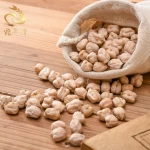 Lots of carbohydrates nutritious Pure natural organic mexican chickpeas