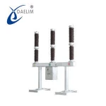 LW25 145 SF6 outdoor Over-voltage Protection Circuit Breakers