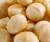 Import MACADAMIA NUTS from South Africa