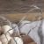 Import Metal Wire Mesh Chicken Shape Storage Collecting Egg Basket With Handle For Kitchen Counter Organizer from China