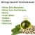 Import Moringa Seed Oil 1000ml Carrier Oil 100% Pure &amp; Natural Express Shipping from India