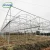 Import Multi-span Large Agricultural Plastic Film Greenhouse Tomato Greenhouse Vegetable Greenhouse from China