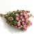 Natural dried rose dry flowers long life roses bouquet with stem