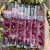 Import Natural Glitter Honey Baby Oral Creme Eco Friendly Stick And Plumper Embalagem Shiny Private Label Cosmetic Clear Lip Gloss from China