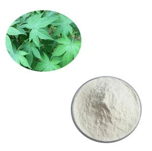 Natural Sweetener Rubusoside Powder Sweet Tea Extract for Health
