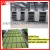 Import New functional large capacity automatic bean sprout growing machine from China