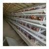 New Modern Chicken Cage Hen Egg Chicken Laying Cages A Type Hot Dip Galvanized Wire Mesh Battery Breeding Cage For Sale