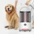Import New Xiaomi Deerma TJ200 Floor Wet Dry Robot Handheld Vacuum Cleaner from China