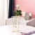 Nordic ins geometric vase light luxury metal iron decoration living room flower arrangement creative home glass flower stand