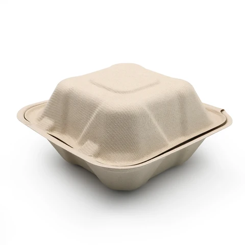 Buy Oasis 450ml 6 Inch Biodegradable & Compostable Sugarcane Bagasse ...