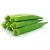 Import Okra from India