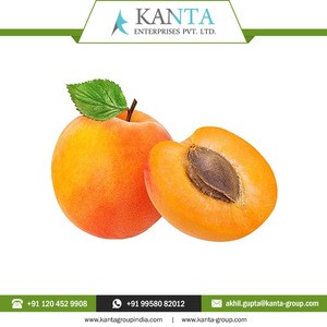 Organic Apricot Kernel Oil India