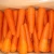 Import Organic Delicious Carrot/Newly Wild Fresh Carrot/Hand Picked Organic Carrot from Germany