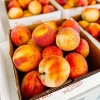 Organic Fresh Peaches for sale