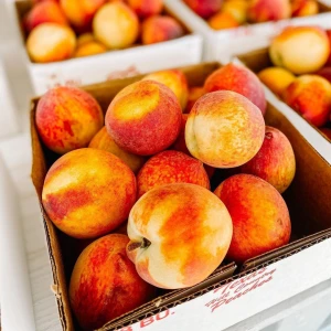 Organic Fresh Peaches for sale