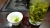 Import Organic Green Tea in Chinese Factories  loose tea longjing green tea B from China