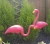 Import Pair Of Pink Lawn Pond Garden Plastic Flamingo Ornaments Party Decor from China