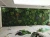 Import Perfect Home Decor Artificial Plant Wall Covering Decor from China