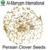 Persian Clover Seed