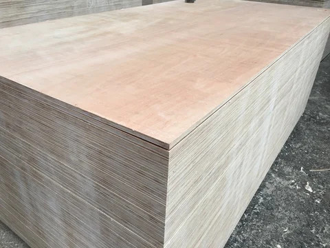 Plywood 4.6mm ->18mm Commercial Plywood Okoume Face (KEGO VIETNAM) for India Market