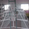 Poultry Egg Chicken Cages