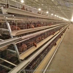 Poultry Farm Used A Type Ladder Laying Hen Chicken Cages With Egg Collection System/machine