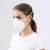 Import Powered air purifying mask chemical respirator from China