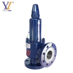 Premium Quality Carbon Steel Standard DN50 SAFETY VALVE for oilfield