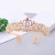 Import Princess hair accessories pearl crystal queen miss universe beauty bride tiaras wedding bridal pageant crowns wedding accessorie from China