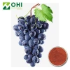 Procyanidin B2 Grape Seed Extract Suppliers