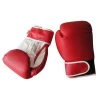 Professional Boxing Gloves With Cheap Price