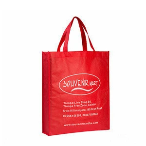Promotional Shopping Plain Non Woven Bag