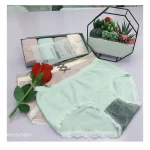 Proper Price Top Quality Pants Lace Basic Underwear Women Girls Underwear
