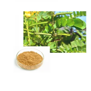 Purgative Anthraquinone Cosmetics Cassia Alata leaf Leaves Extract