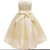 Import Quality Birthday Kid Gown Party Princess Girl Dress from China