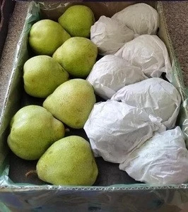Quality  Fresh Pears