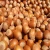 Import Raw Hazelnut / Organic Grade Hazelnut/Hazel Nuts from China