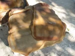 Ribbed Smoked Sheets