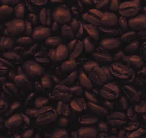 Robusta Coffee Bean / Arabica coffee Bean