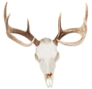 ROOGO gifts &amp crafts wild animal deer skull home supplies resin wall hanging