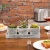 Set of 3 Artificial Plants in Rustic Wood Planter Boxes with 11-Inch Display Tray